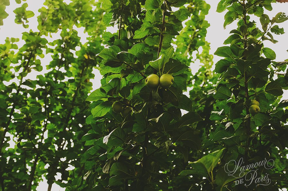 Marie Antoinette's Hamlet at Versailles by Paris photographer Stacy Reeves