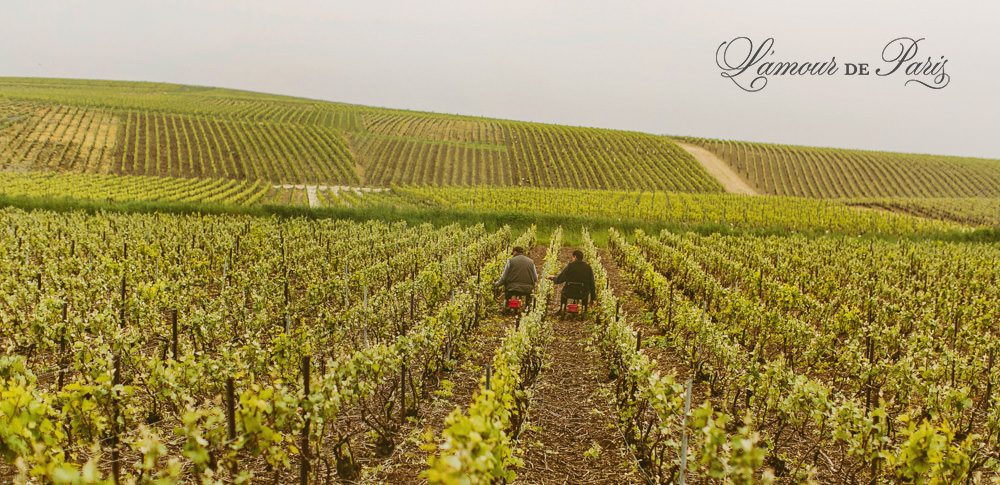 Touring Reims in the Champagne Region of France