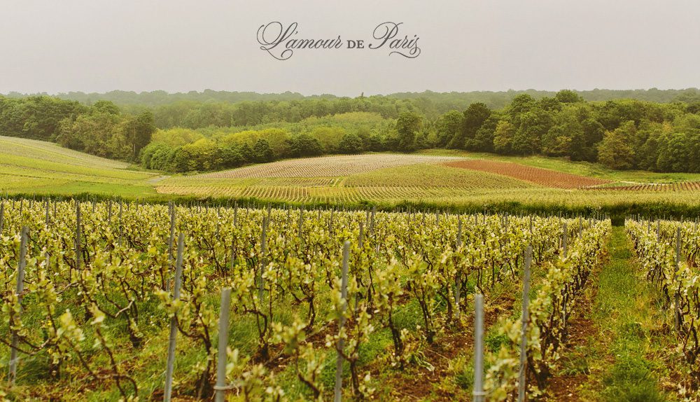 Touring Reims in the Champagne Region of France