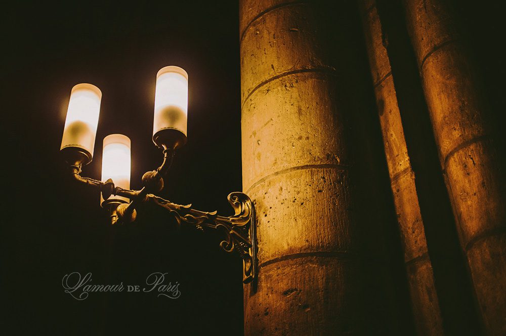 Notre Dame de Paris Cathedral