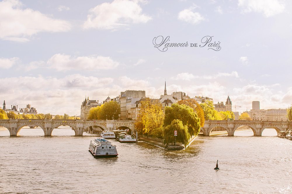 Ile de la Cite on the Seine River in Paris