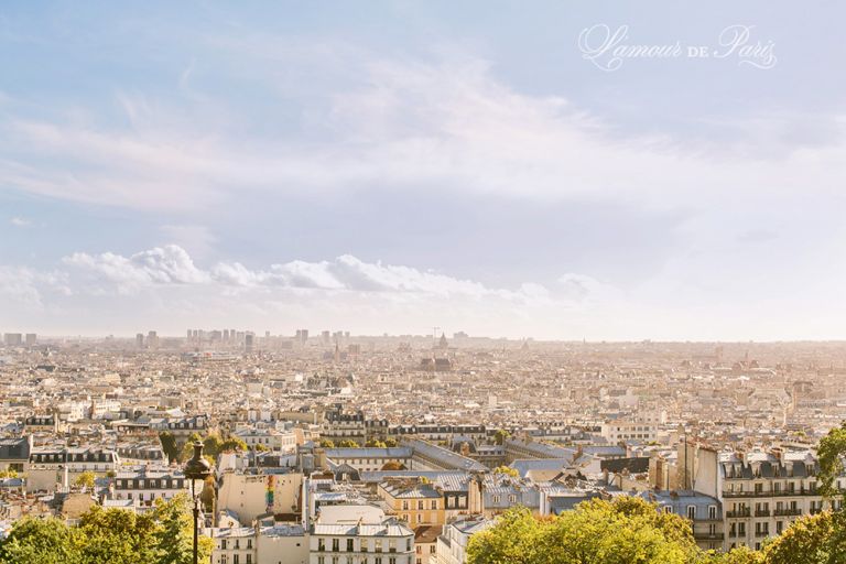 Rooftops of Paris from Montmartre
