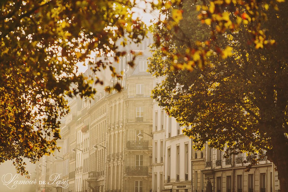 Autumn in Paris