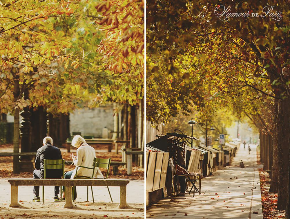 Autumn in Paris