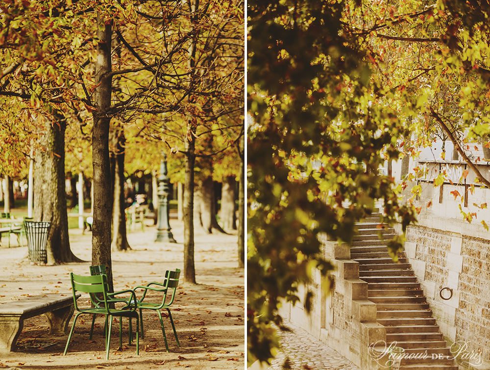 Autumn in Paris
