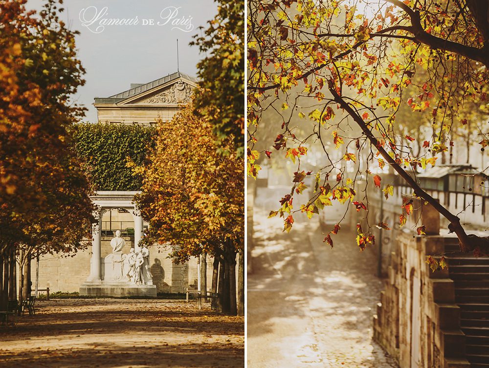 Autumn in Paris