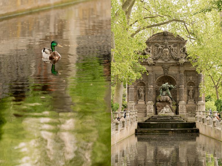 luxembourg garden medici fountain