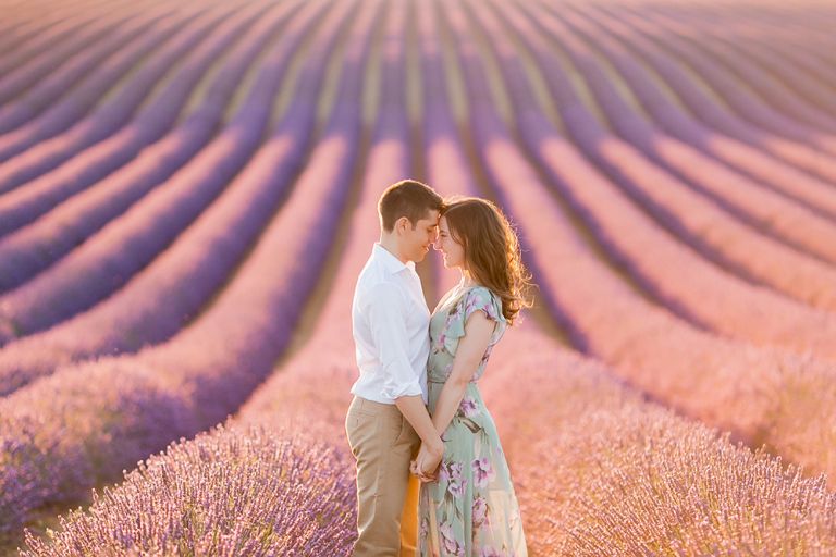 lavender fields provence france -01