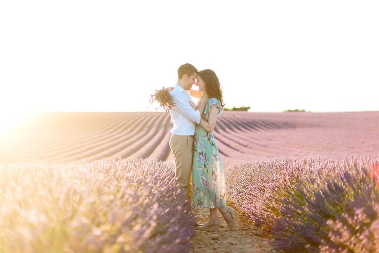 lavender fields provence france -03