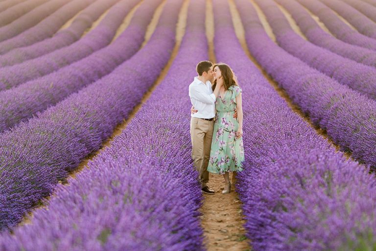 lavender fields provence france -08