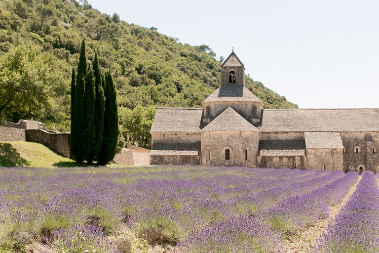 senanque abbey provence france with lavender