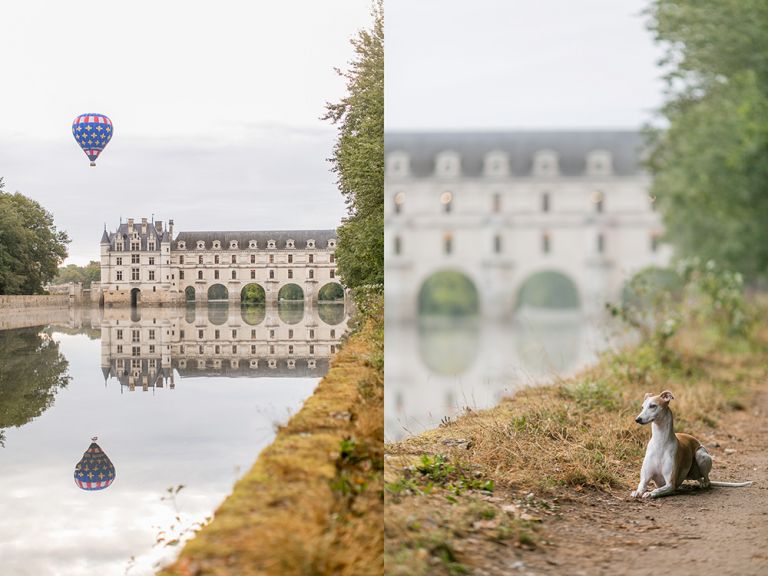 chateau chenonceau loire valley hot air balloon and whippet dog