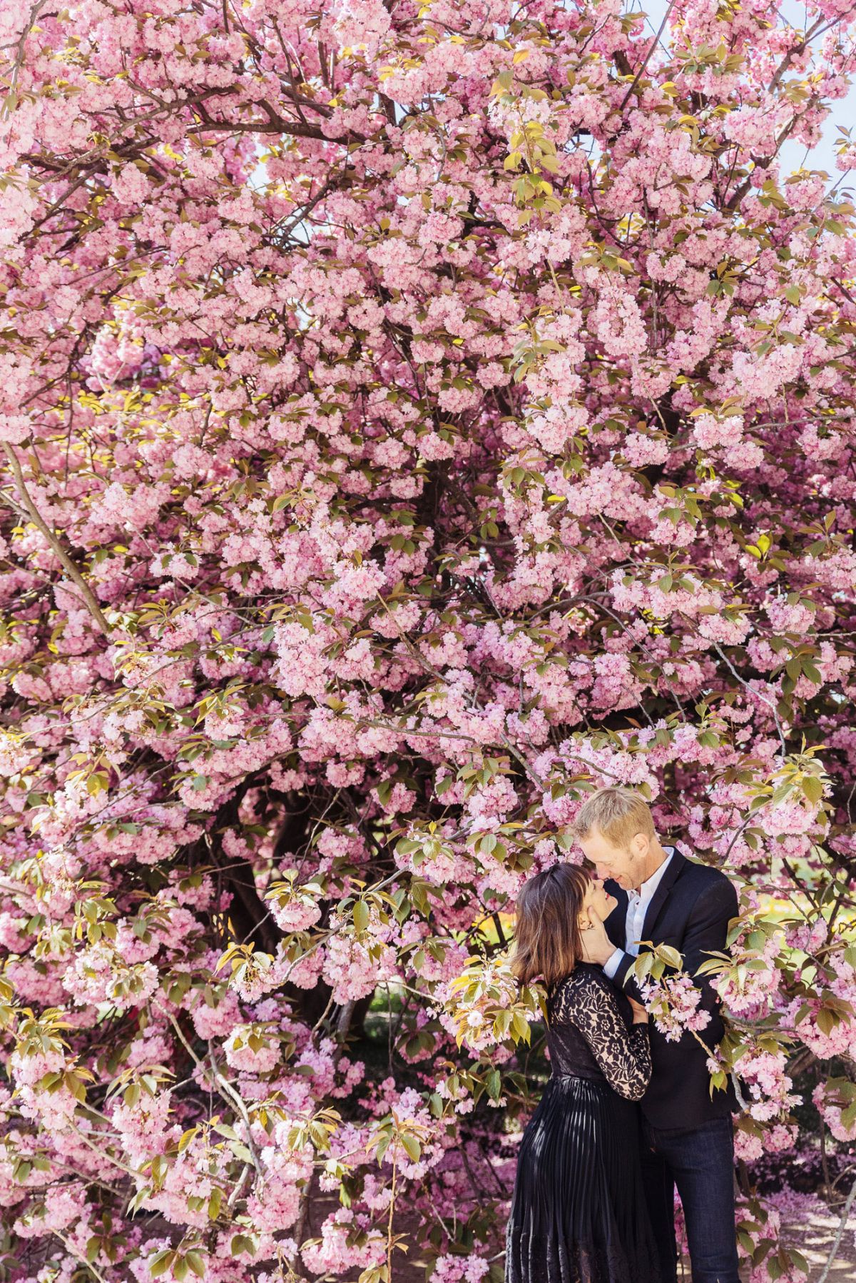 Paris Photographers surrounded by cherry blossoms