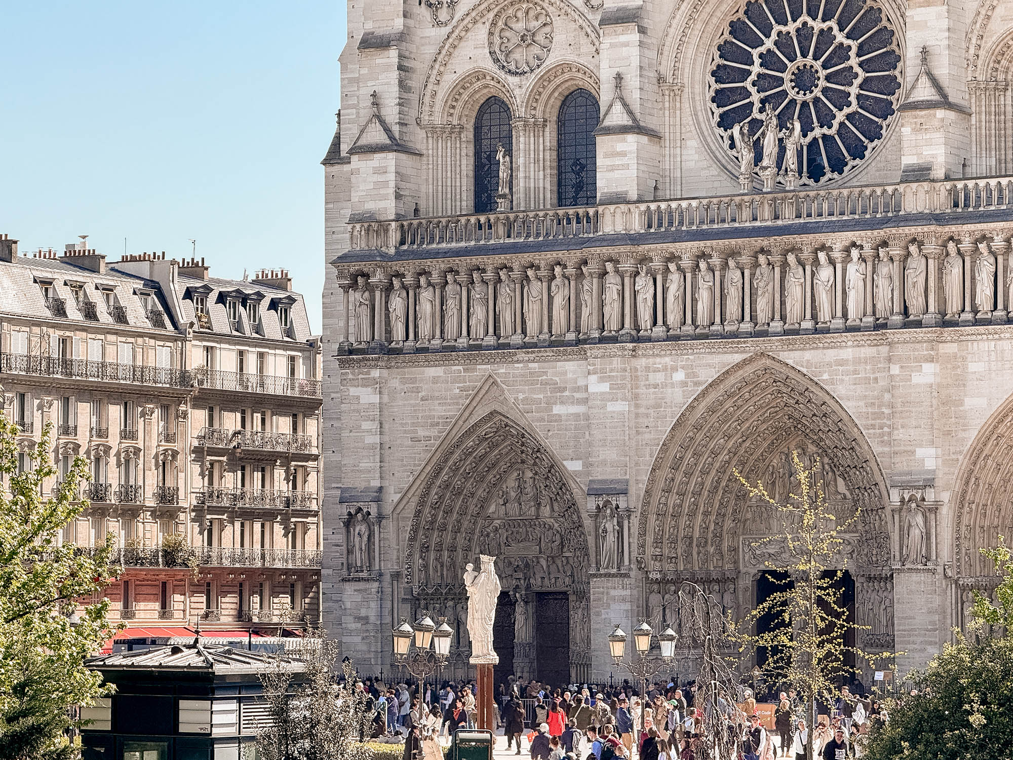 notre dame cathedral seen from paris hop on hop off bus tour